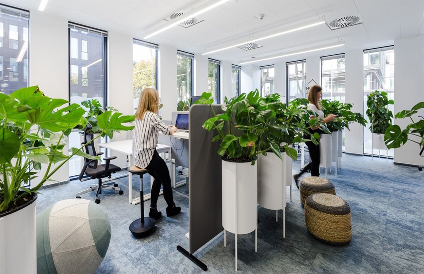 Thiết kế văn phòng hiện đại xanh